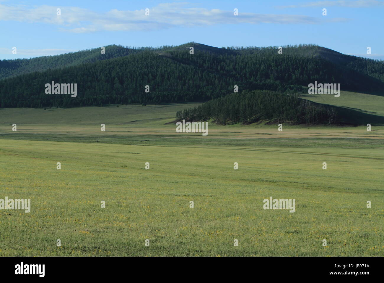 steppe central asia Stock Photo - Alamy