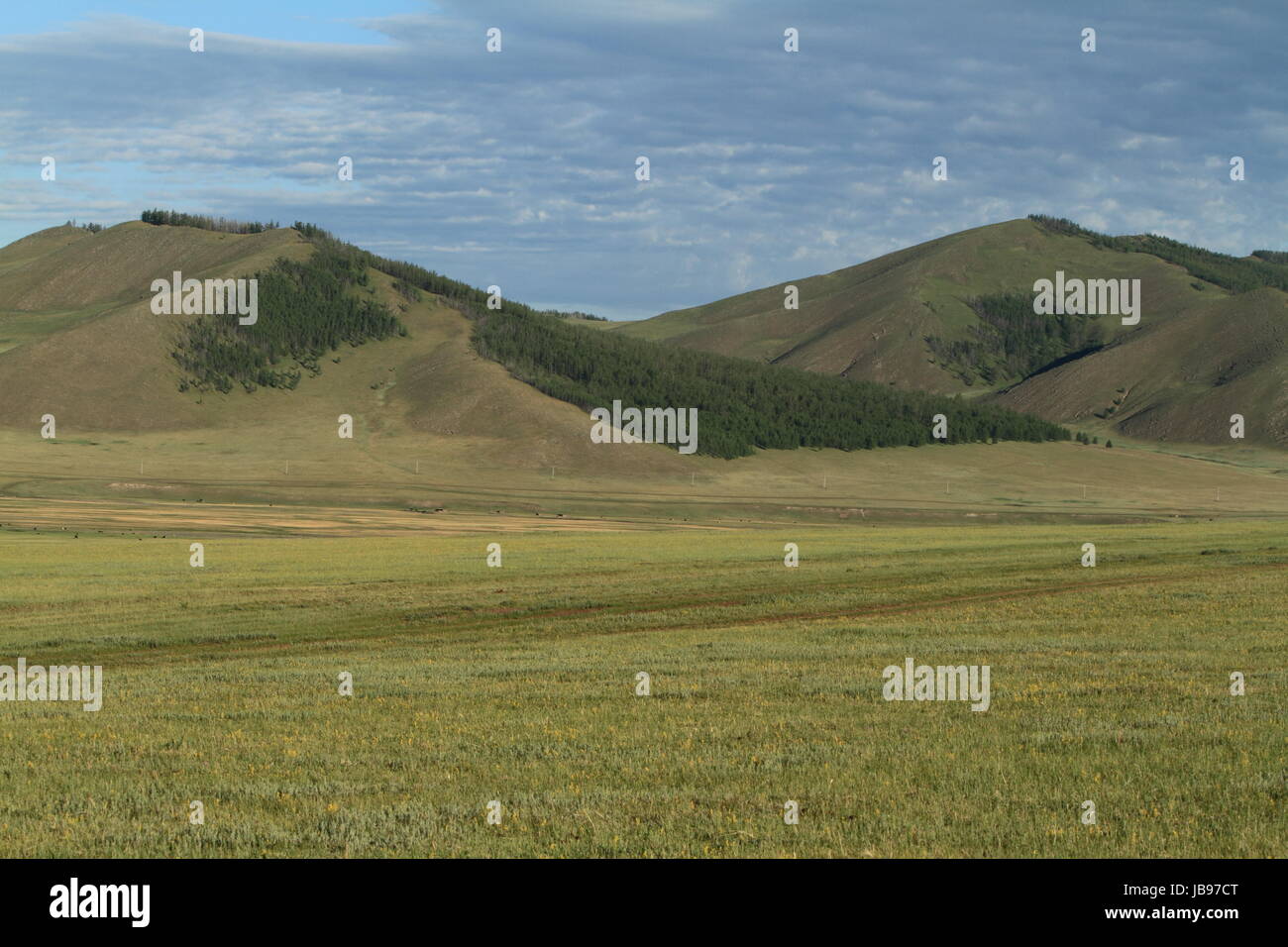 steppe central asia Stock Photo - Alamy