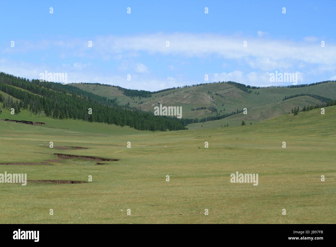 steppe central asia Stock Photo - Alamy