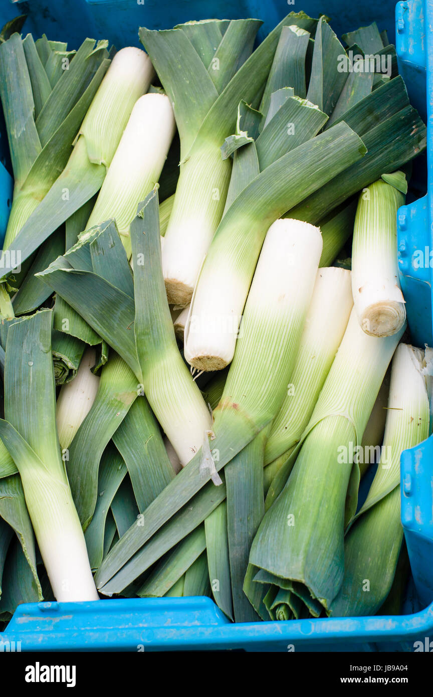 Leeks and green vegetables at farmers market hi-res stock photography ...