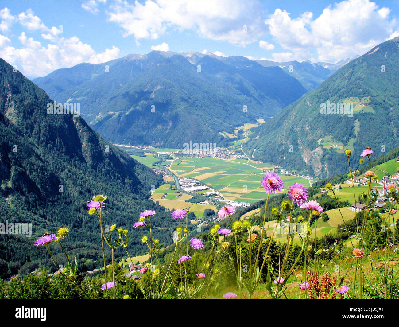 mountains, valleys and flowers; view into the valley Ahrntal with fields and meadows; forested slopes and blue sky with white clouds Stock Photo