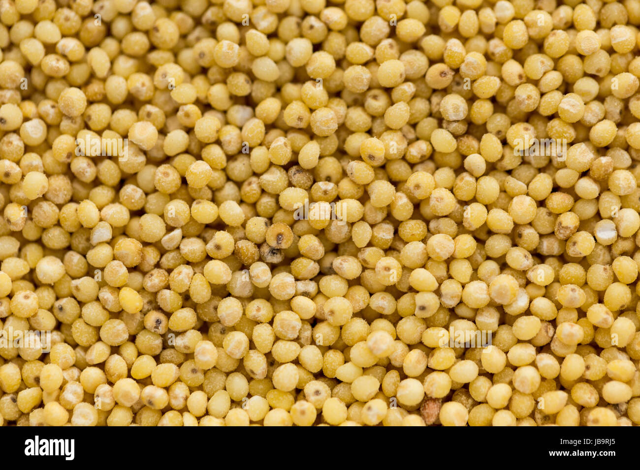 small dry seeds of cereals in food background Stock Photo - Alamy