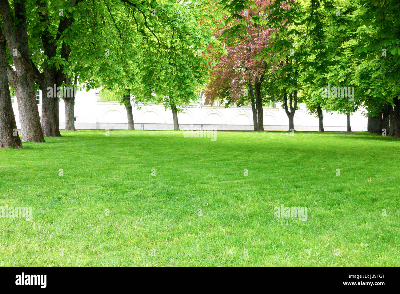 Green lawn with trees in city park as background Stock Photo - Alamy