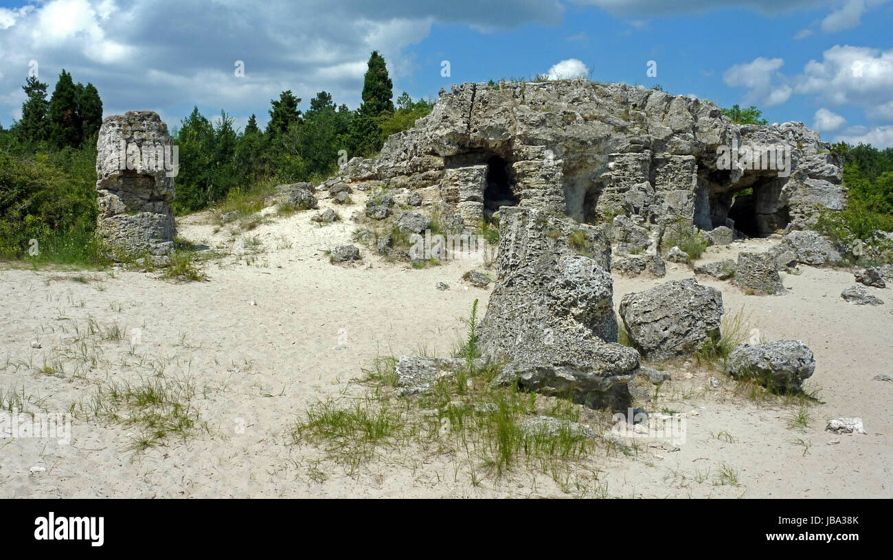 stone forest Stock Photo