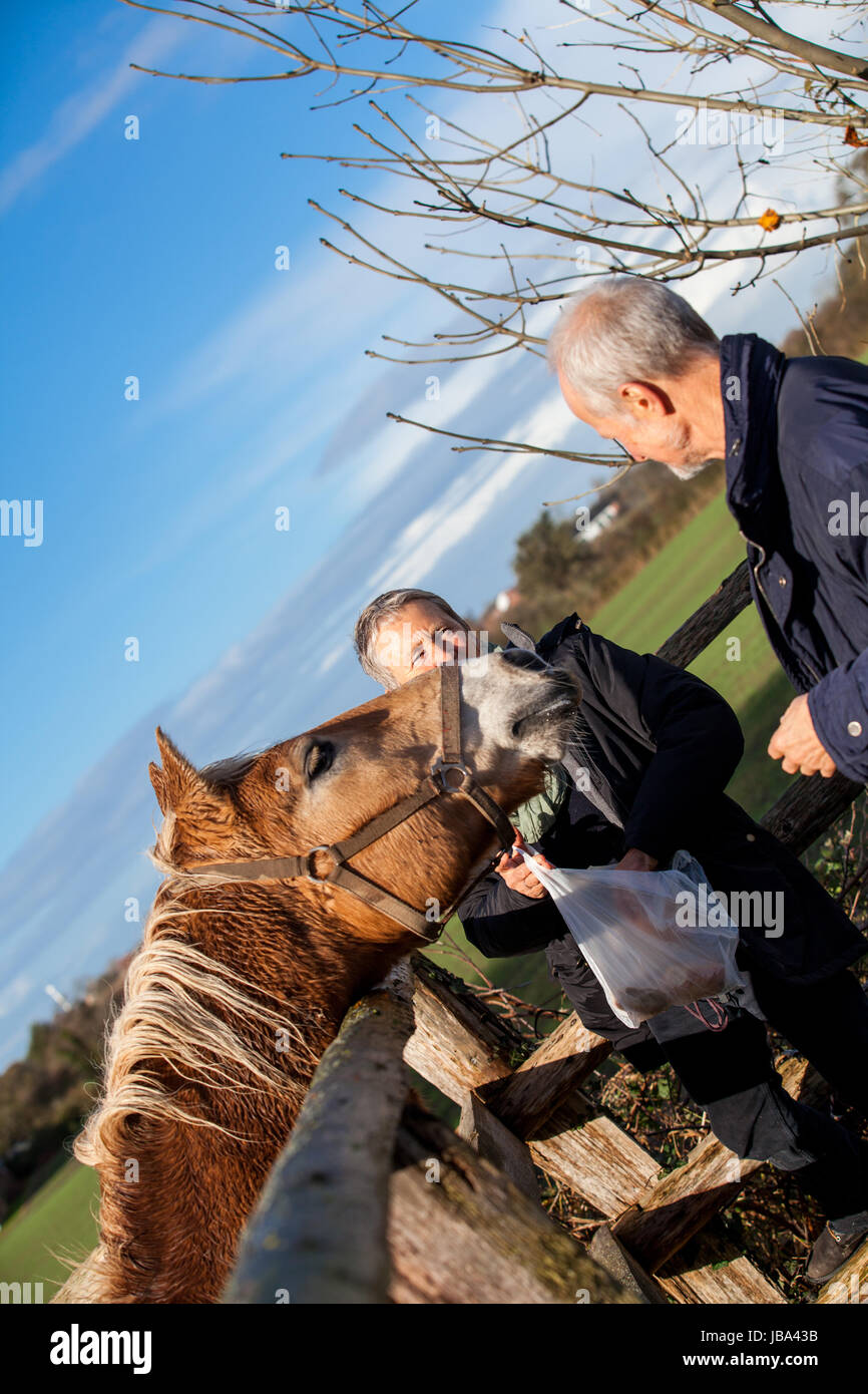 älteres senioren paar glücklich entspannt in der natur im freien freizeit urlaub erholung Stock Photo