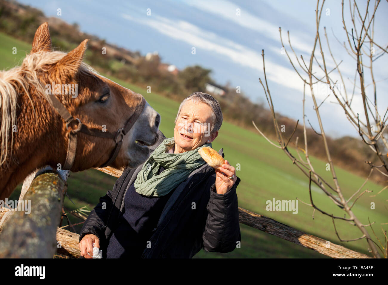 älteres senioren paar glücklich entspannt in der natur im freien freizeit urlaub erholung Stock Photo