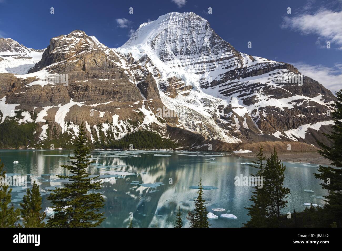 hiking mt robson