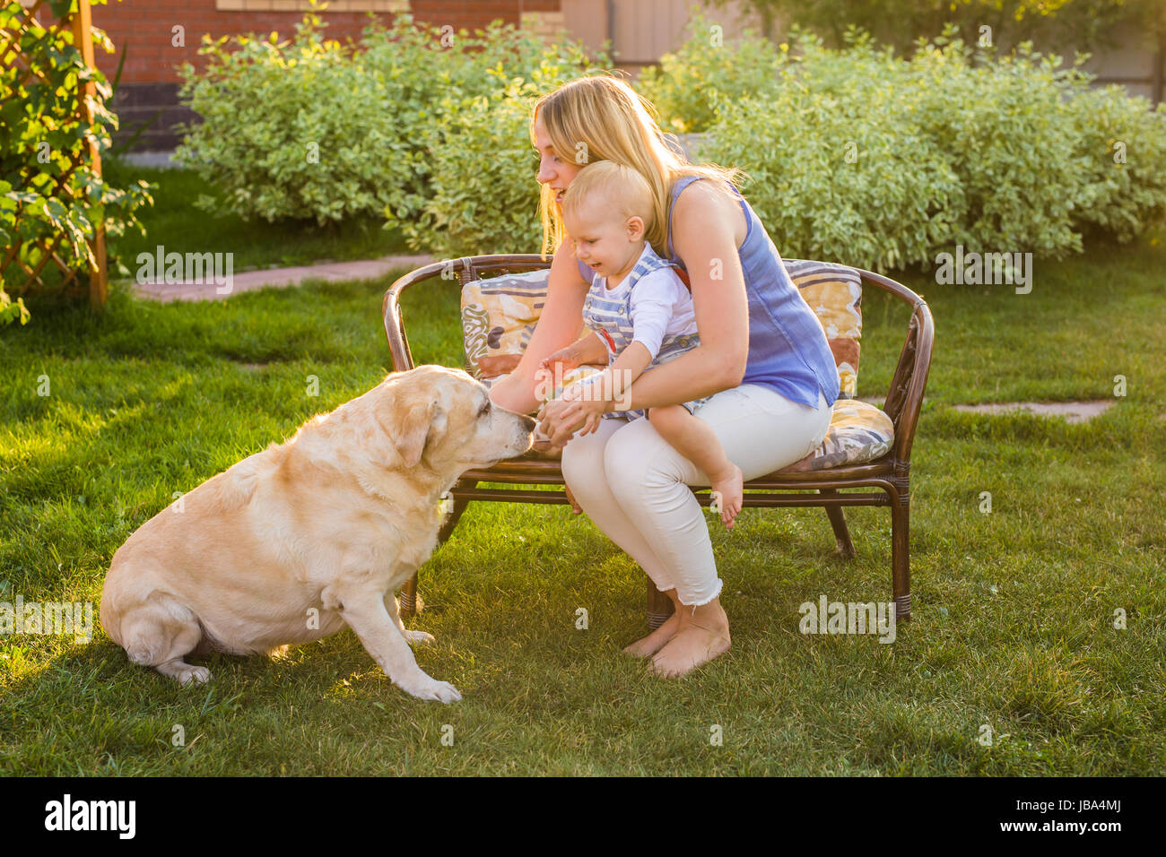 Happy family playing with their dog on a sunny day Stock Photo - Alamy