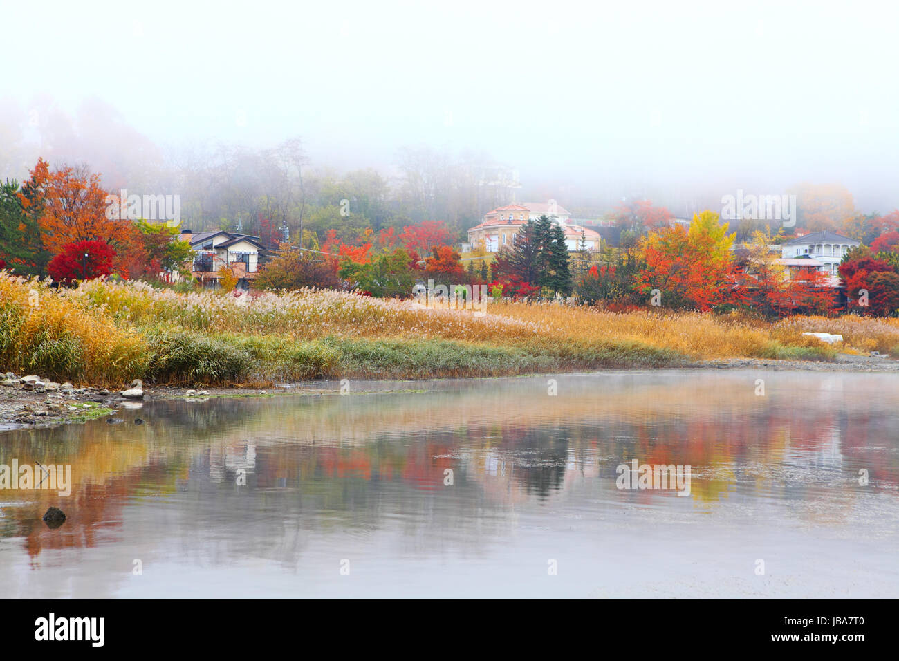 Autumn forest and lake Stock Photo - Alamy