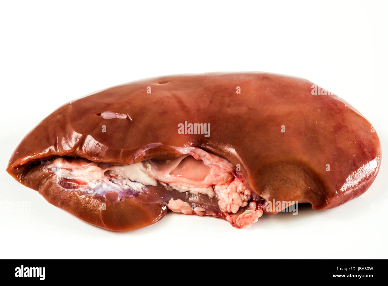 Niere eines Schweines Stock Photo