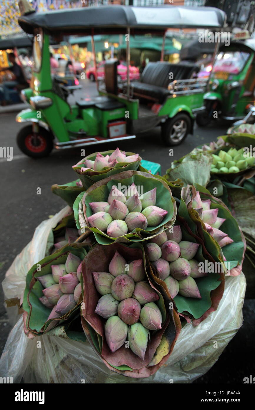 Blumen auf dem Pak Khlong Markt von Bangkok der Hauptstadt von Thailand in Suedostasien. Stock Photo