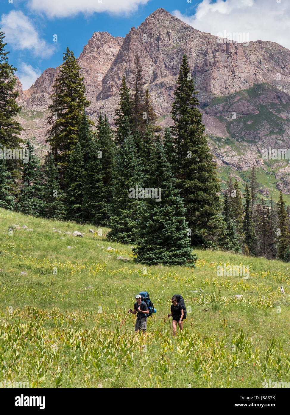 Backpackers on the Needle Creek Trail, Chicago Basin, Weminuche Wilderness Area, San Juan National Forest between Durango and Silverton, Colorado. Stock Photo