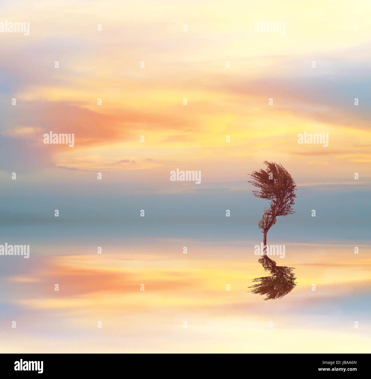 Beautiful landscape with tree on a sunset sky Stock Photo - Alamy