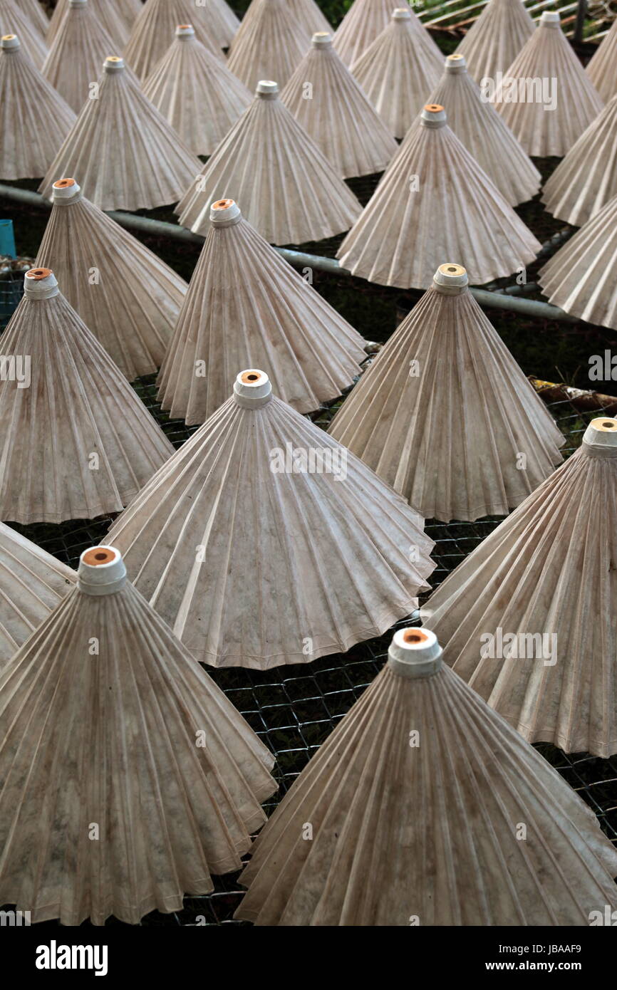 Die traditionelle Papierschirm Produktion in Chiang Mai im  Norden von Thailand Stock Photo