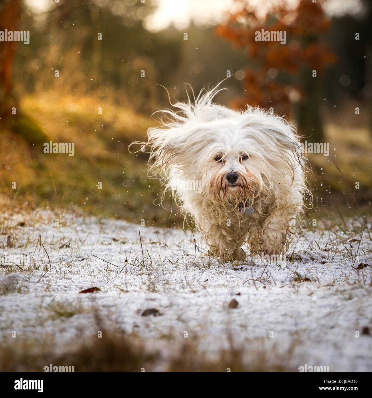 Ein Wenig High Resolution Stock Photography and Images - Alamy