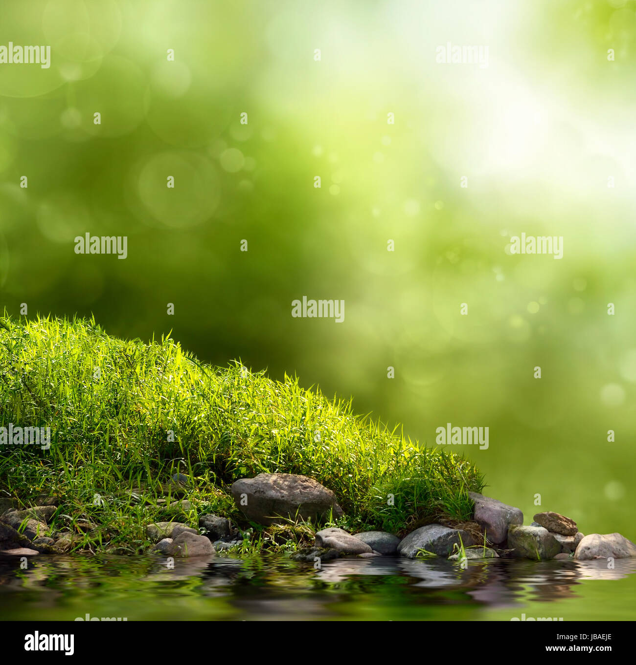 Grüner Hintergrund mit Gras, Wasser, Bäumen und Lichteffekten Stock Photo