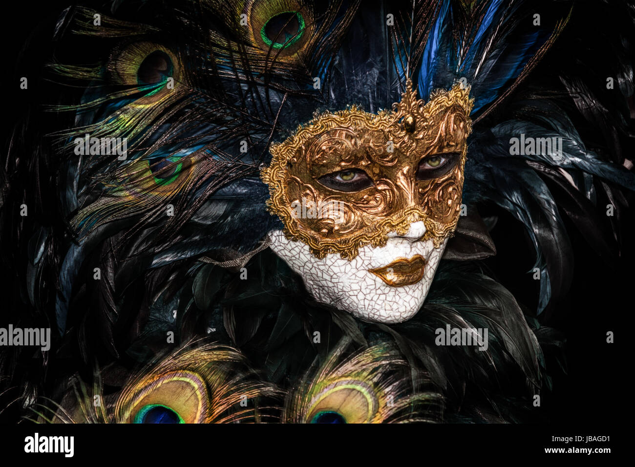 carnevale di venezia 2014 Stock Photo