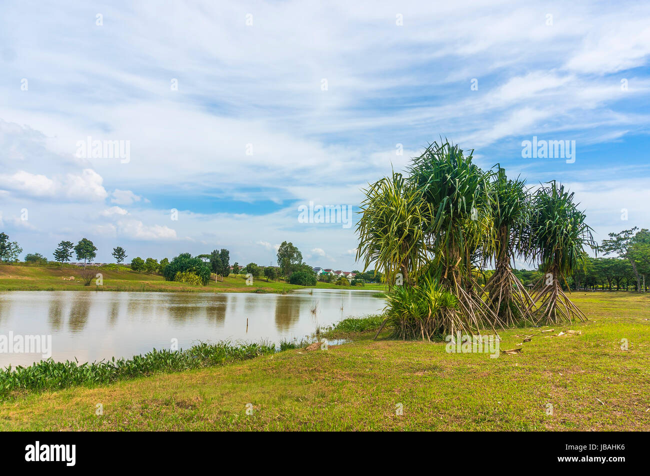 fresh water lake Stock Photo Alamy