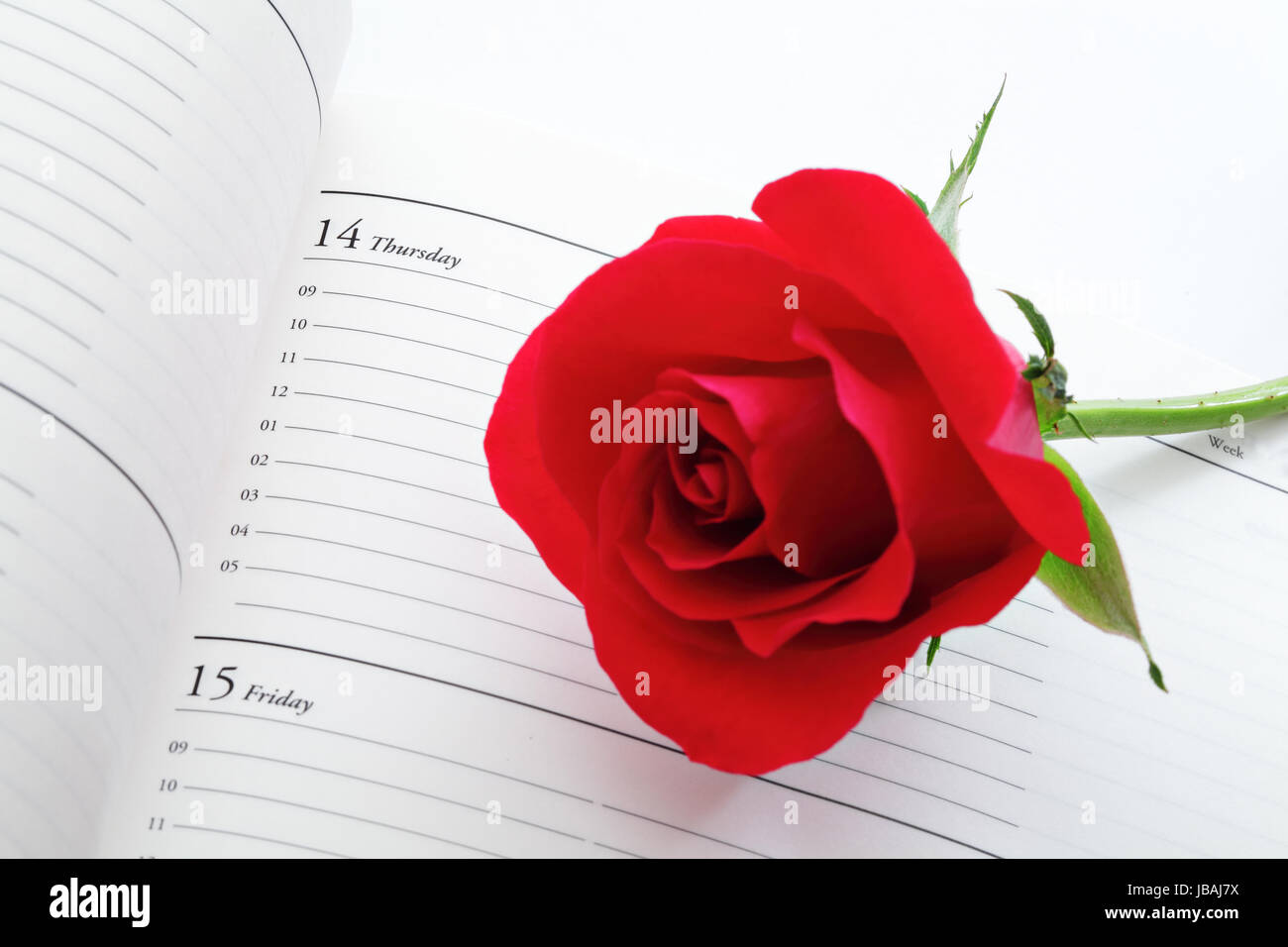 Red rose with calendar Stock Photo - Alamy