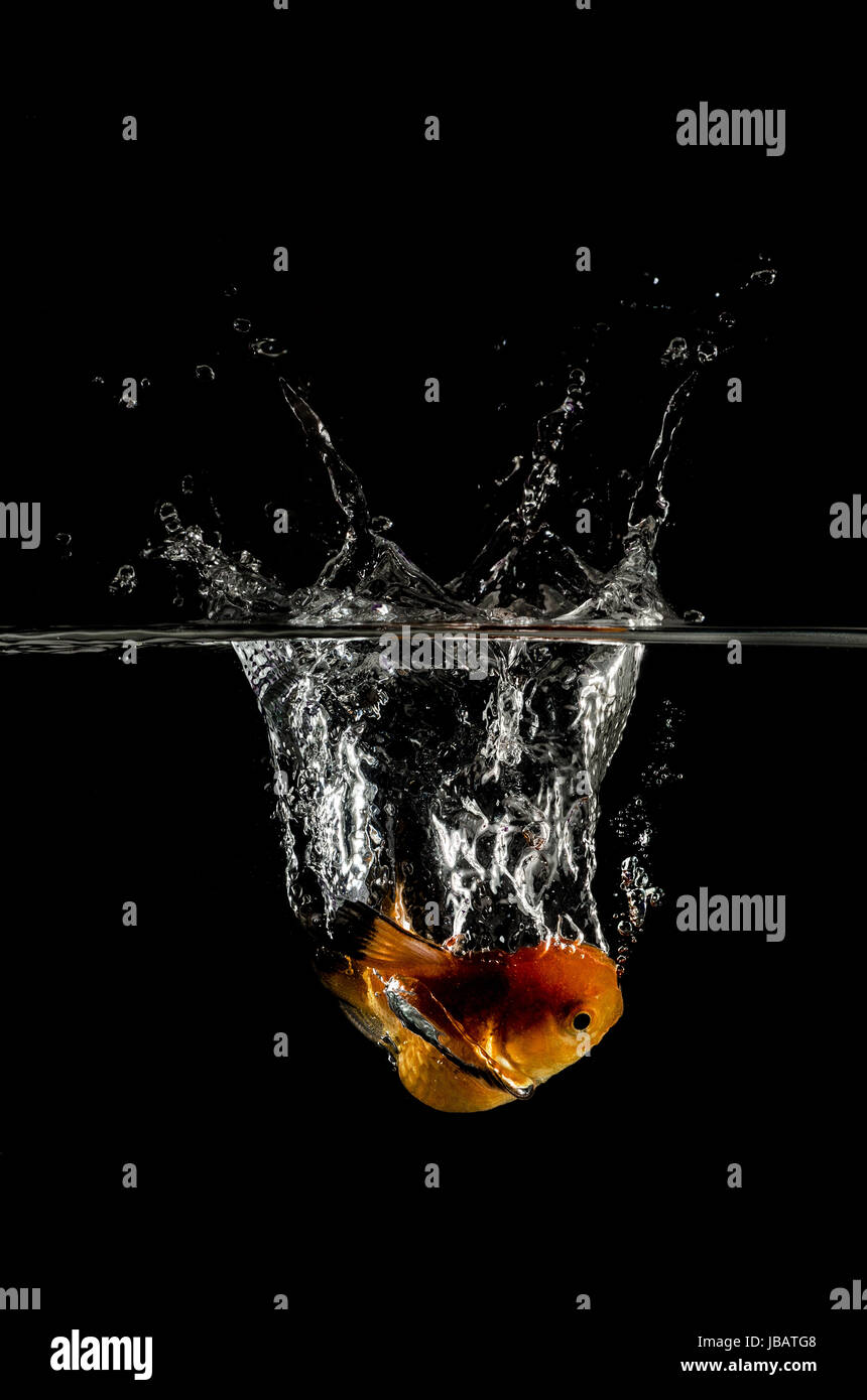 Gold black liquid backgrounds hi-res stock photography and images - Alamy