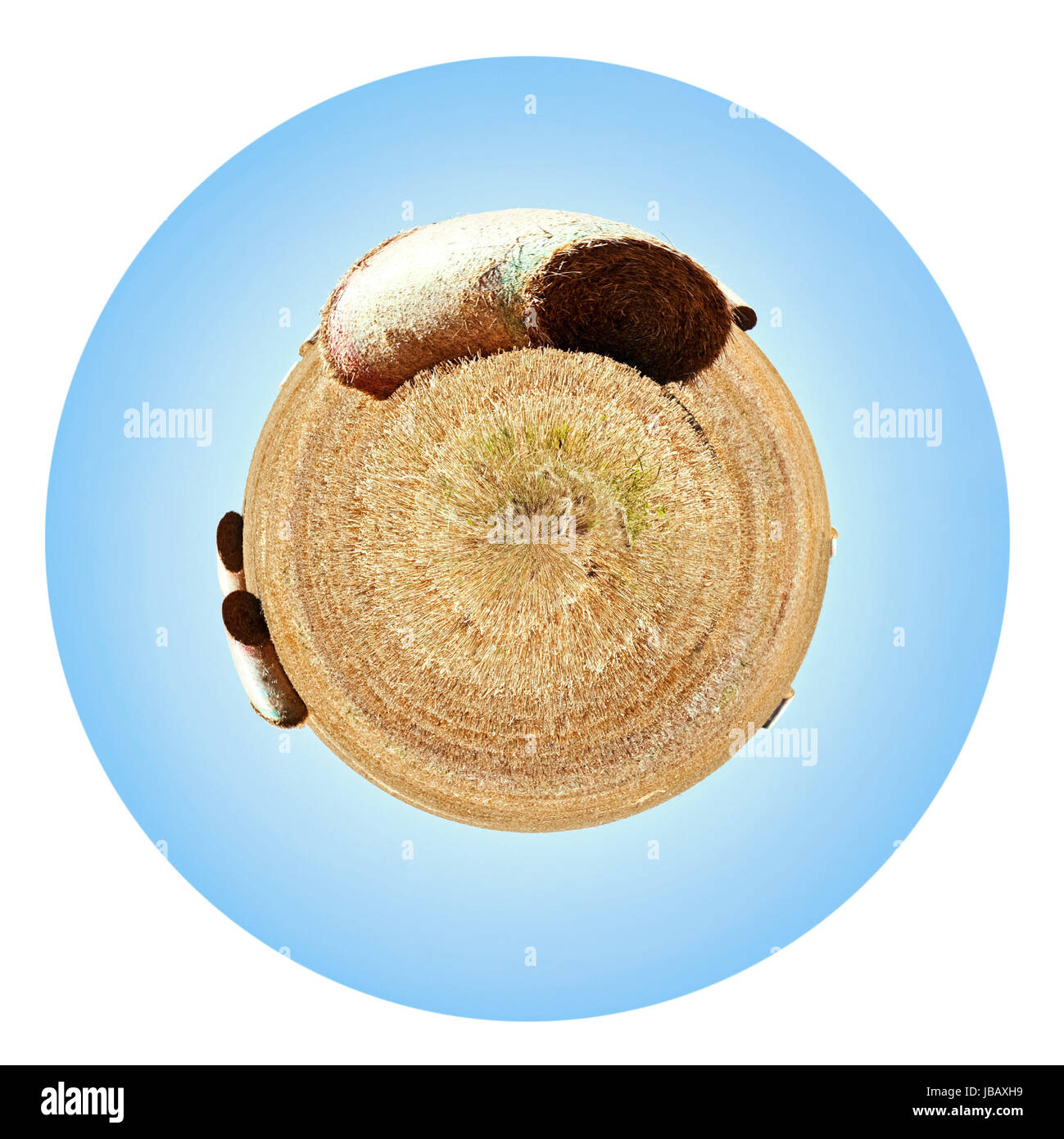 Straw Planet Brittany france scenic Cut Out Stock Images & Pictures - Alamy