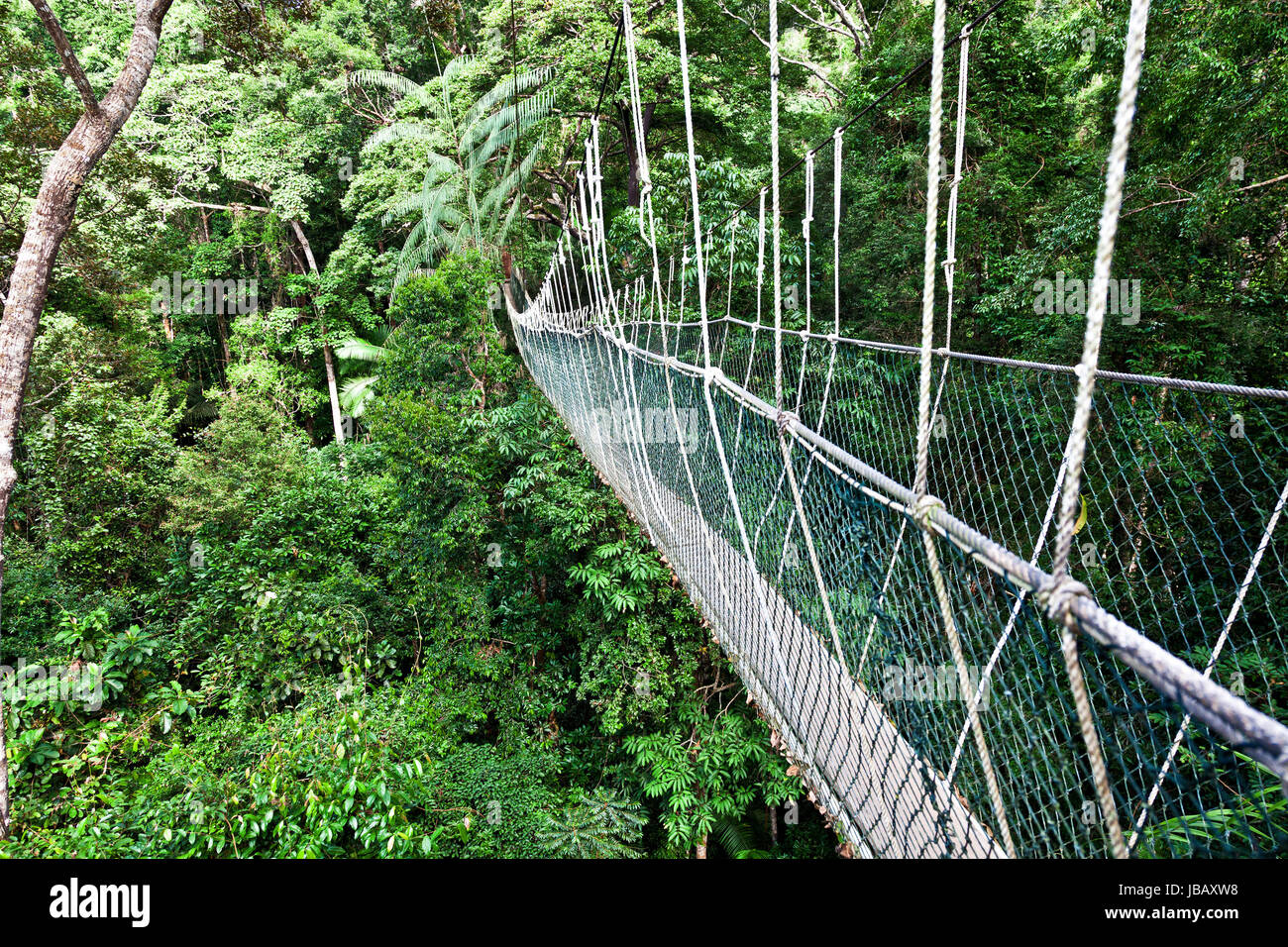 rope bridge in borneo malaysia Stock Photo