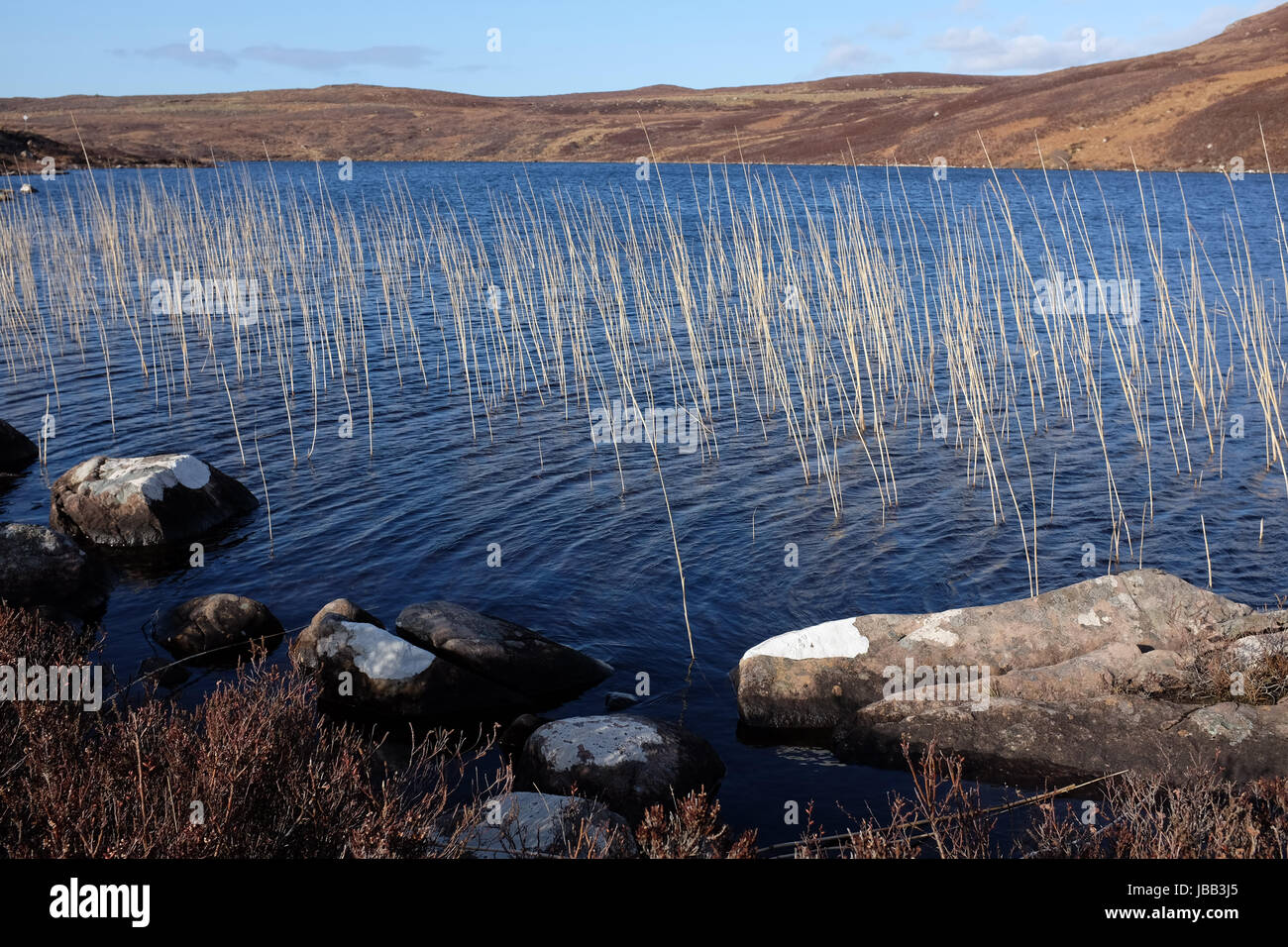 A lake environment with lichen covered rocks on the near shore leading to dried water grasses and moorland beyond. Stock Photo