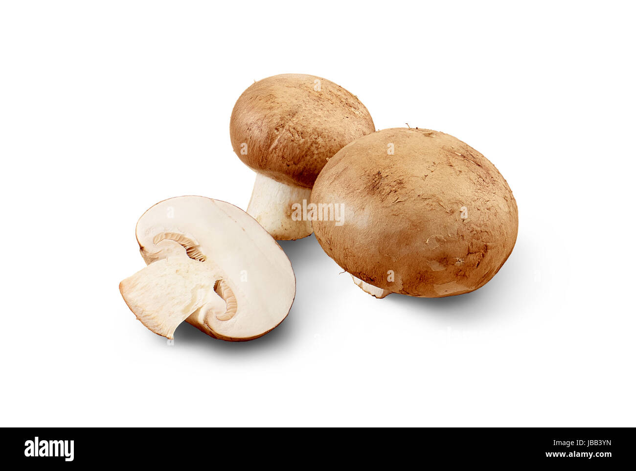 Common mushrooms, professional isolated on the white background - with clipping path Stock Photo