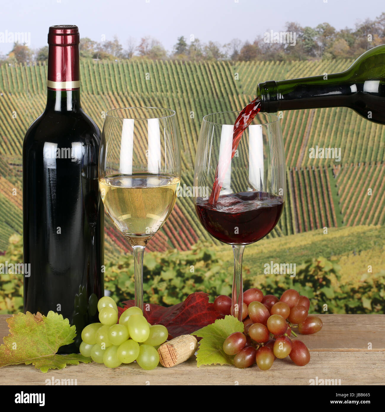 Wein eingießen aus einer Weinflasche in ein Weinglas in den Weinbergen Stock Photo