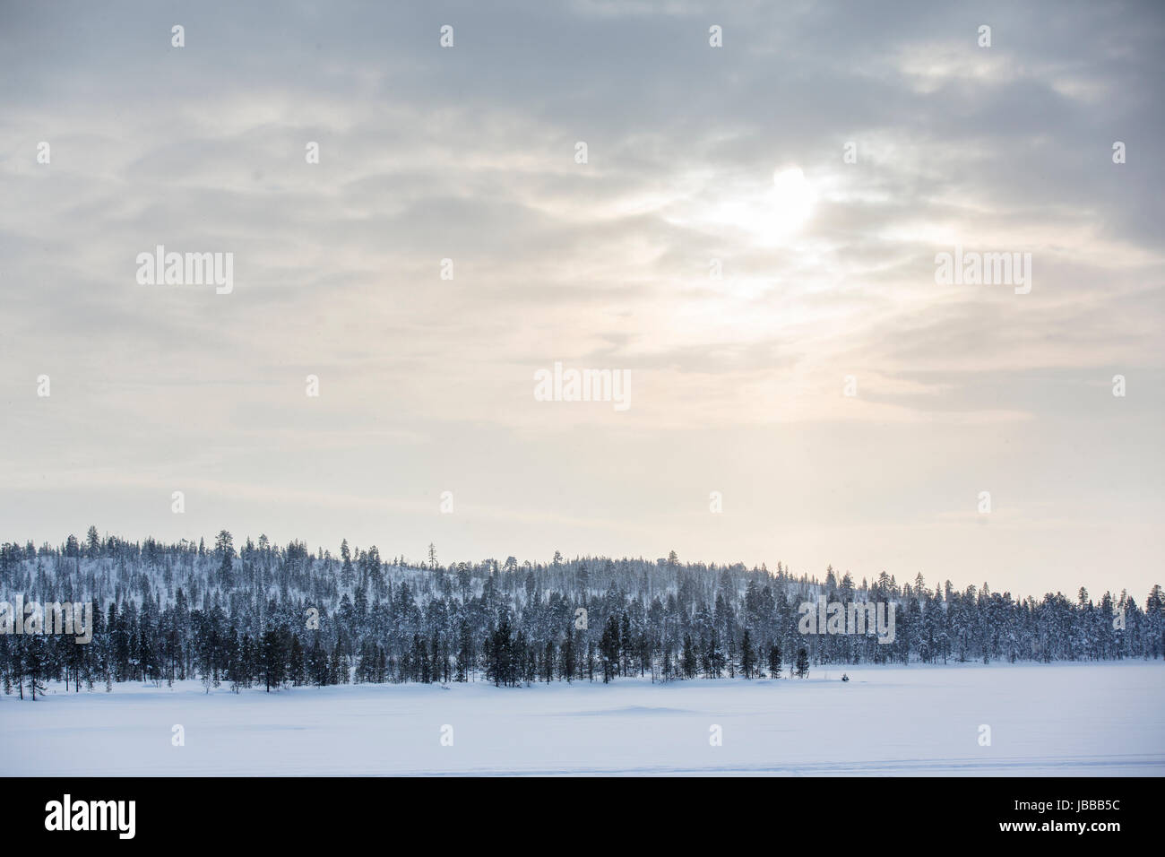 Verscheite Schneelandschaft in Finnland bei Inari Stock Photo
