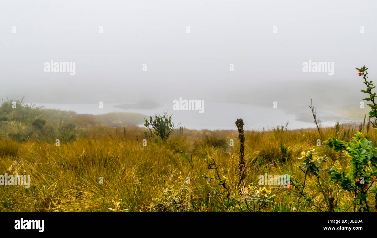 Foggy morning on mountain lake hi-res stock photography and images - Alamy