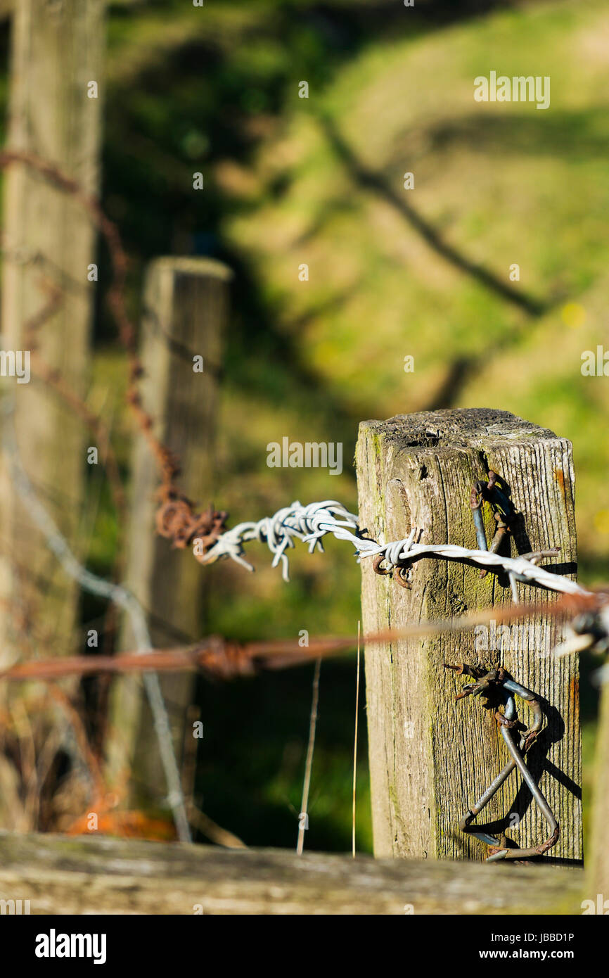 Rusting barbed wire on wooden fence Stock Photo - Alamy