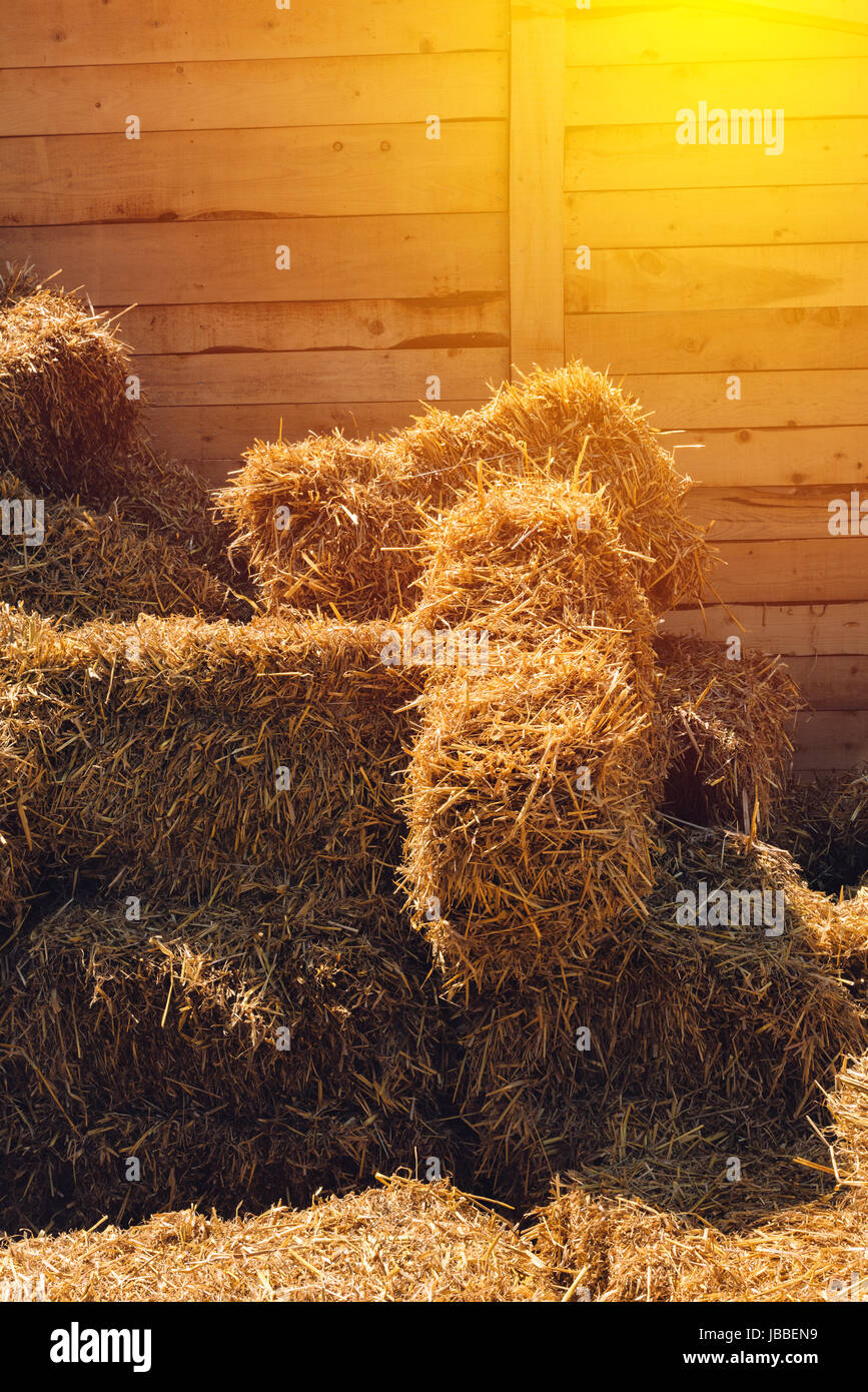 Dry baled hay stack, rural countryside background Stock Photo