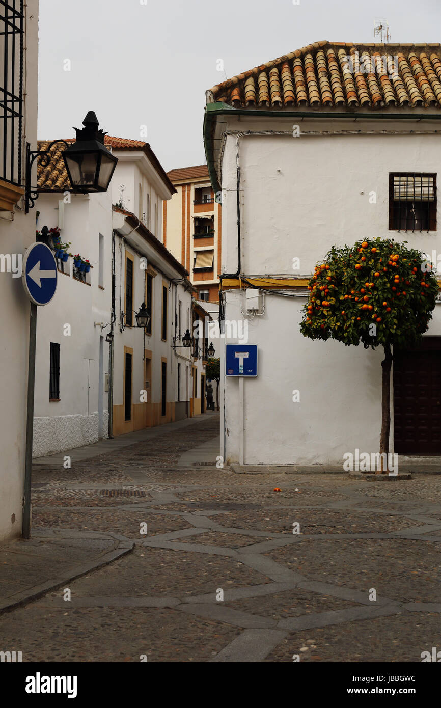 The charming streets in the old town of Cordoba, Andalusia, Spain Stock Photo