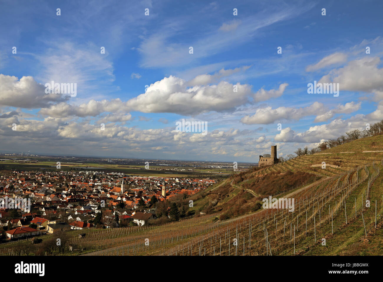 weinberg and strahlenburg about schriesheim Stock Photo - Alamy