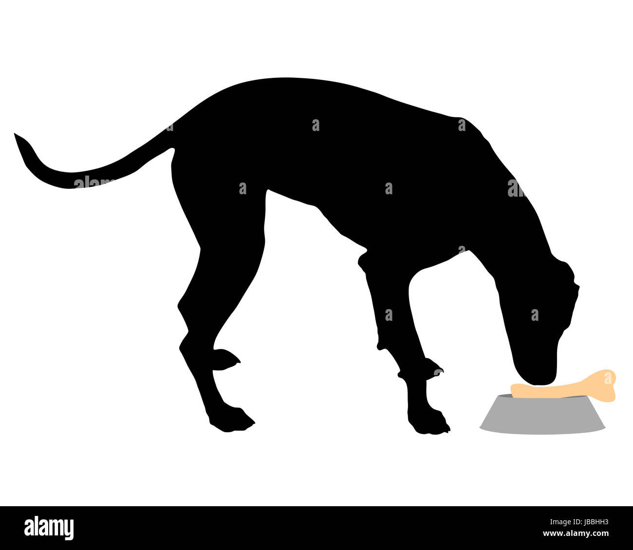 Hund füttern Stock Photo - Alamy