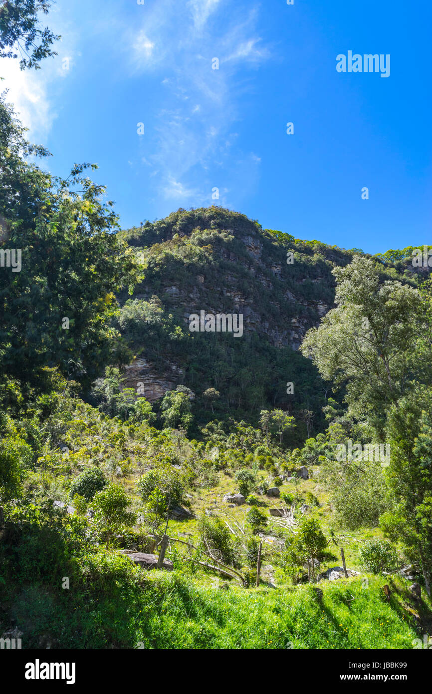 Forest with a cliff in the background Stock Photo - Alamy