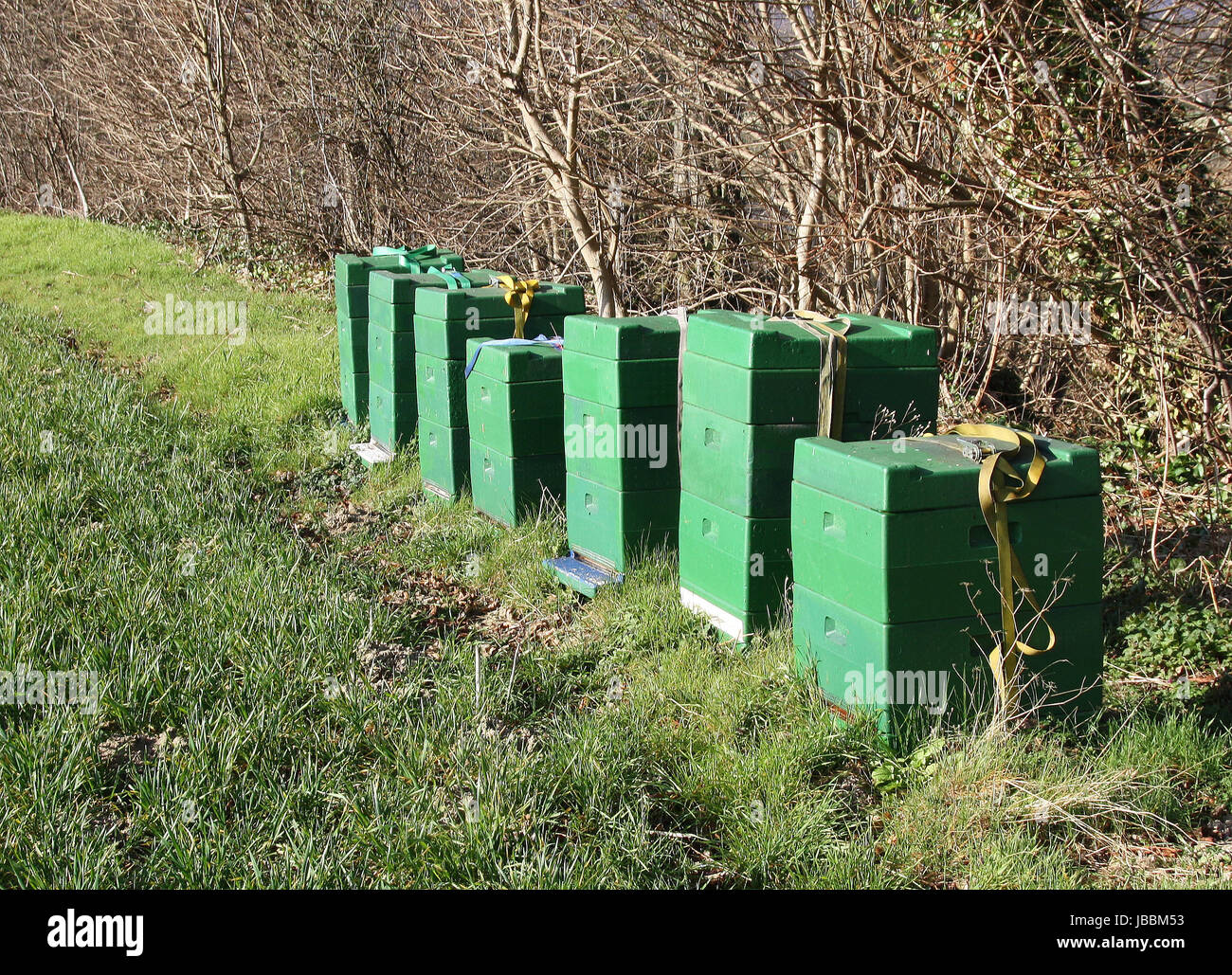 beehives am deister Stock Photo