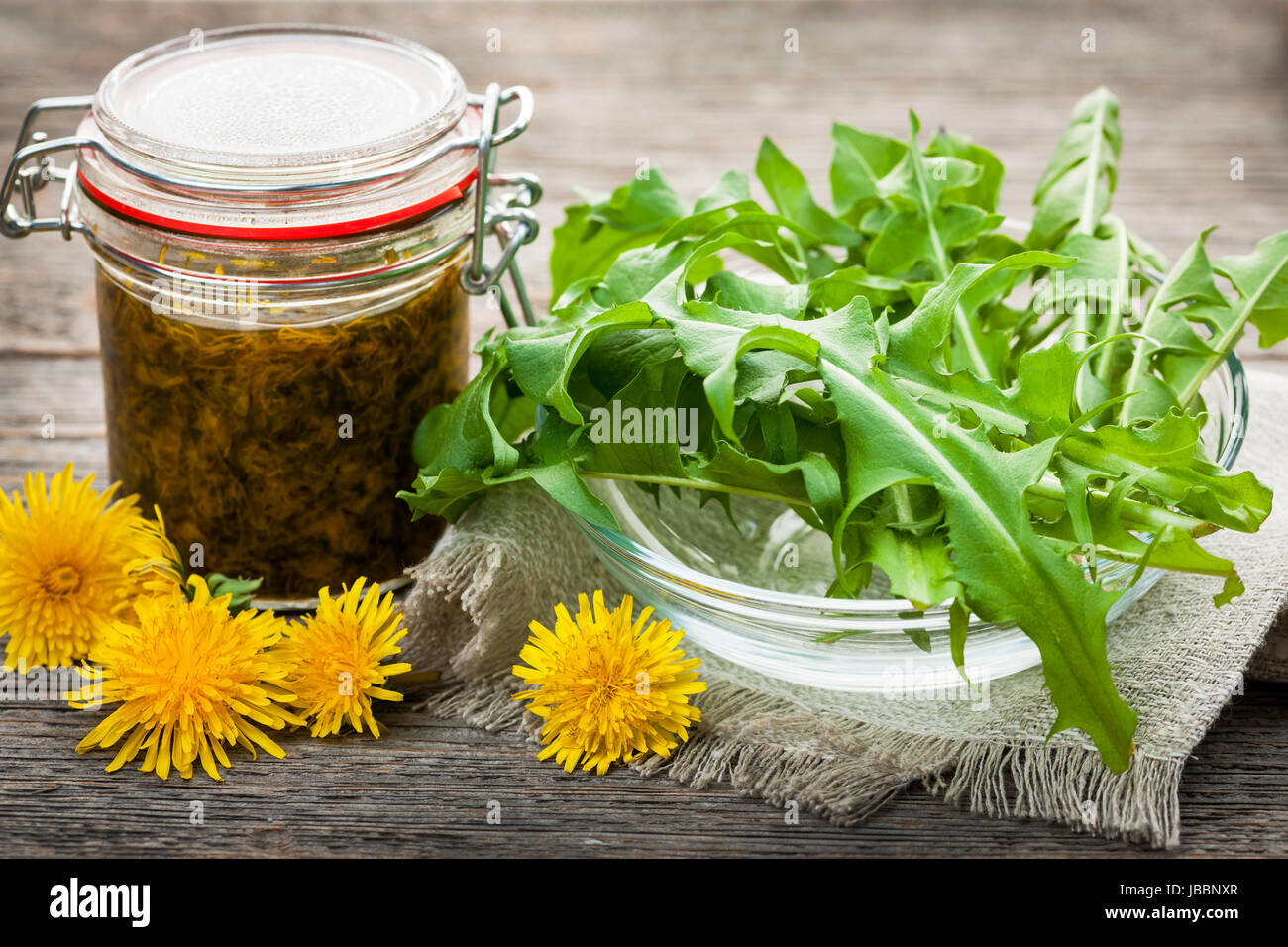 Foraged edible dandelions flowers and greens with jar of dandelion