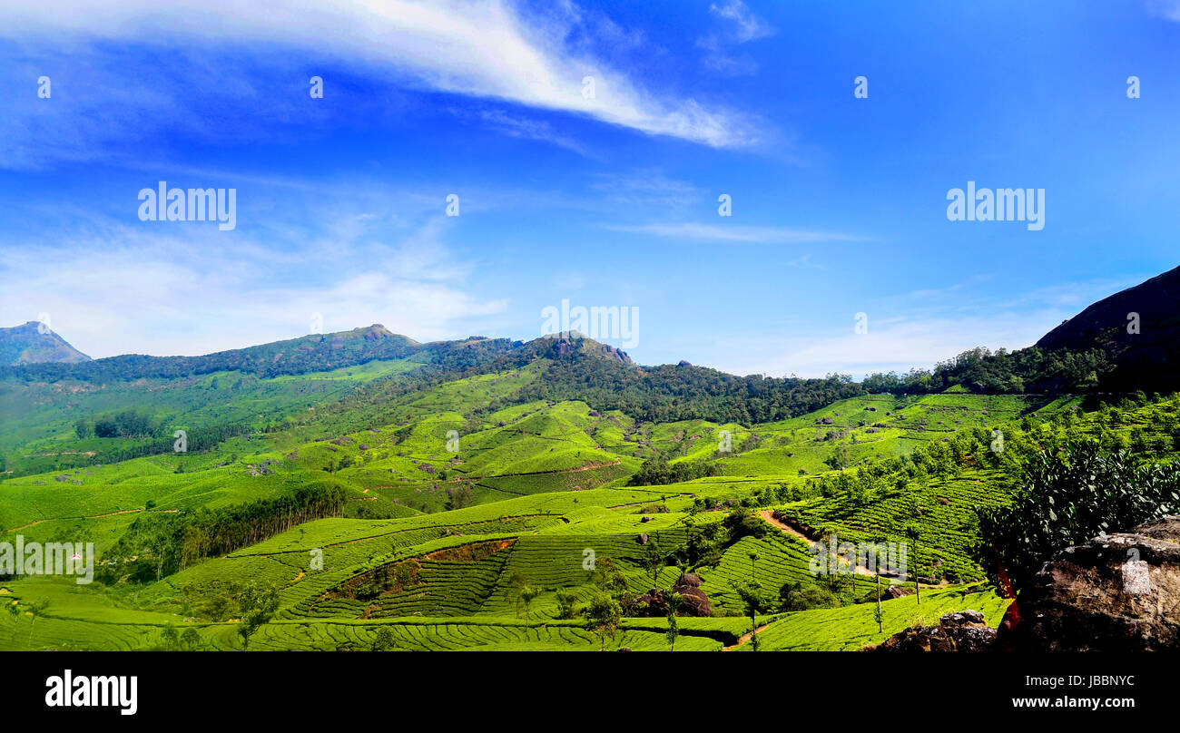 Stock Photo - Beautiful Kerala Landscape and Nature Sceneries Stock Photo