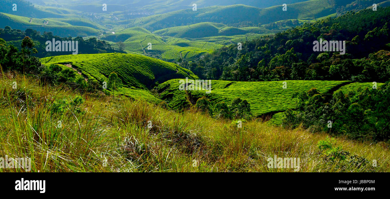 Stock Photo - Beautiful Kerala Landscape and Nature Sceneries Stock Photo