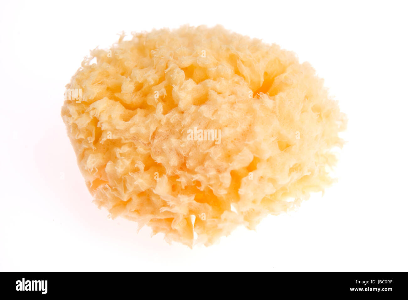 Bath sponge isolated on white background Stock Photo - Alamy