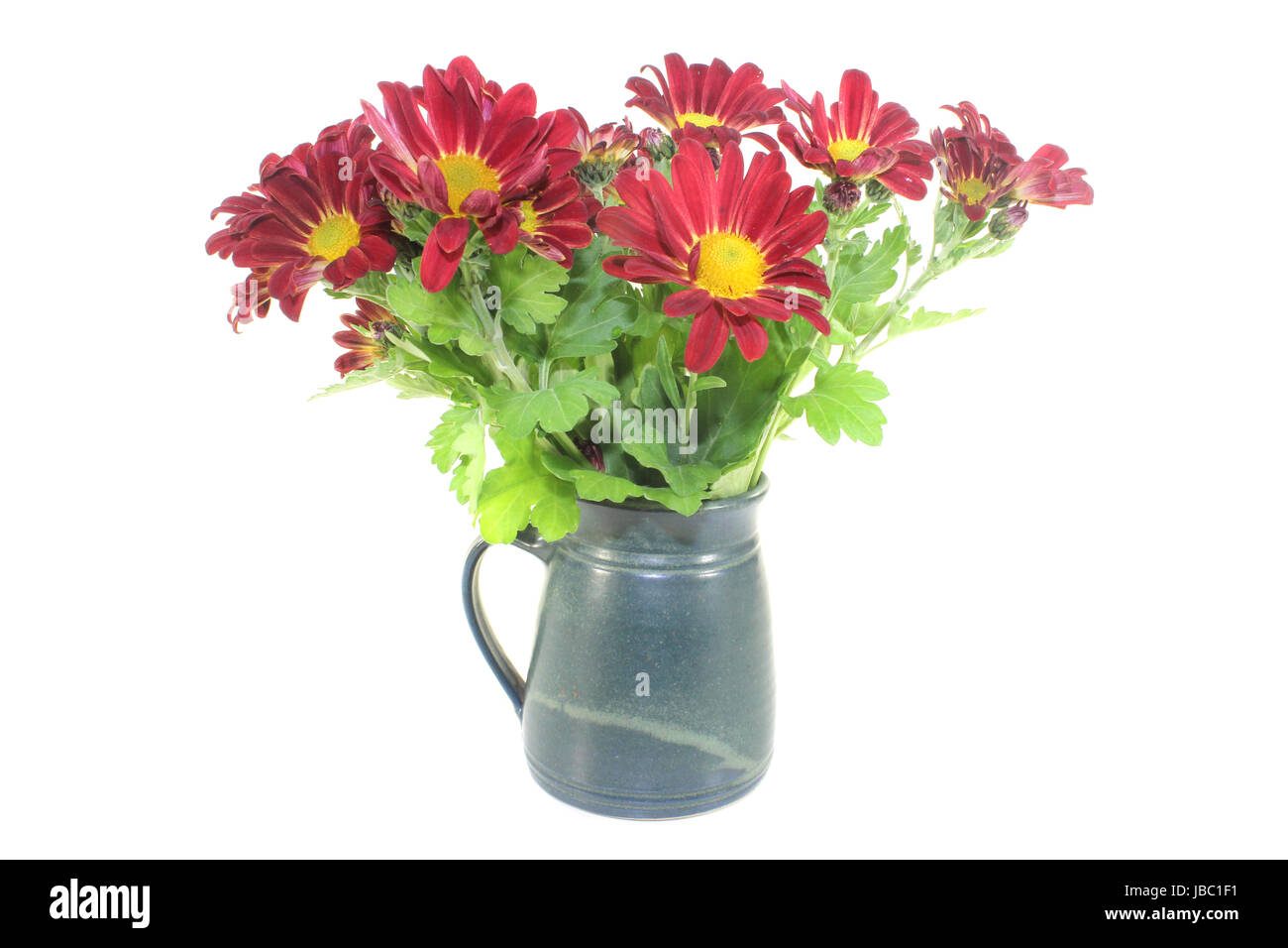 ein Strauß Chrysanthemen in einer Vase vor hellem Hintergrund Stock Photo