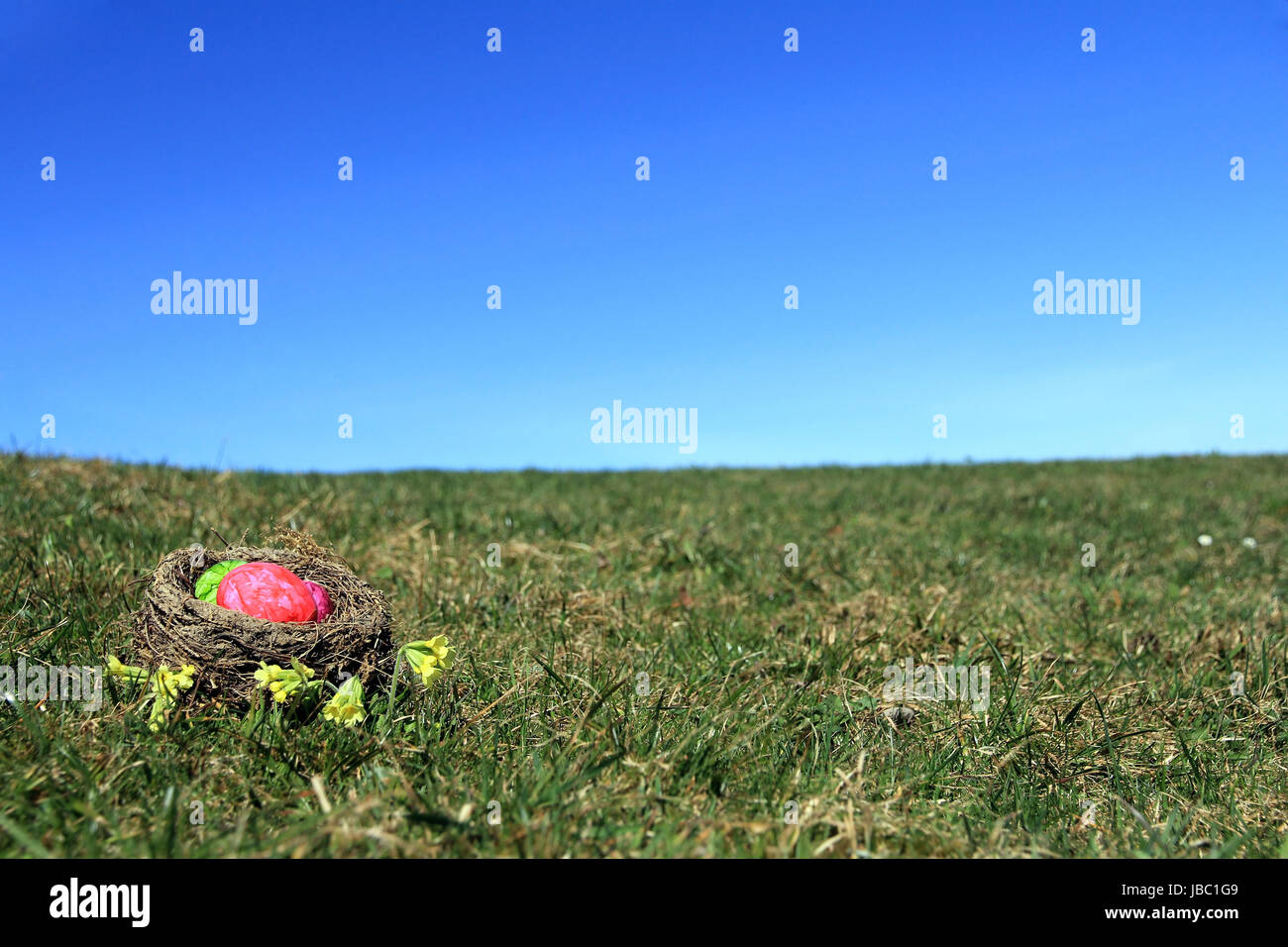 the easter in the meadow Stock Photo
