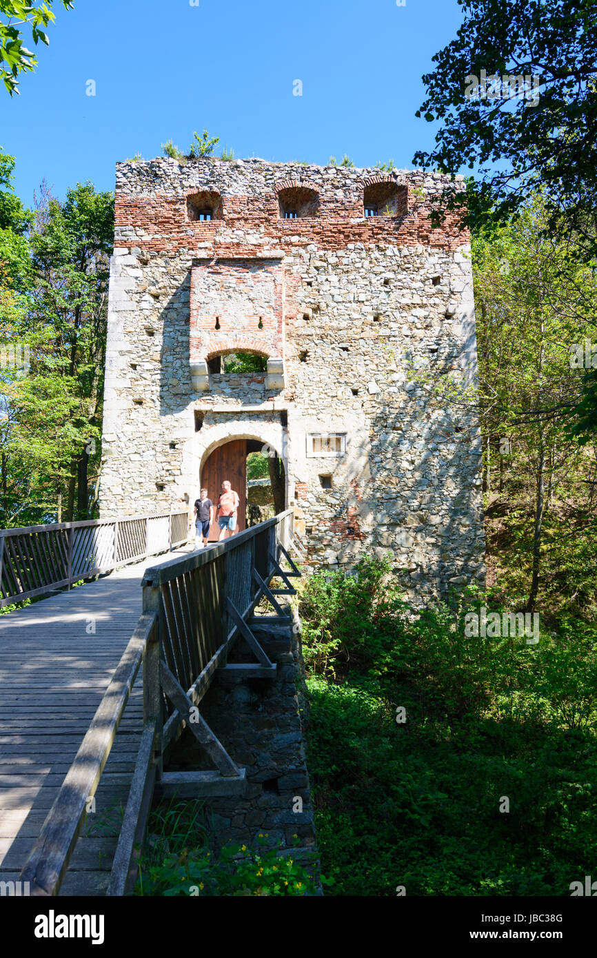 castle ruin Landsee, Naturpark Landseer Berge, Markt Sankt Martin, , Burgenland, Austria Stock Photo