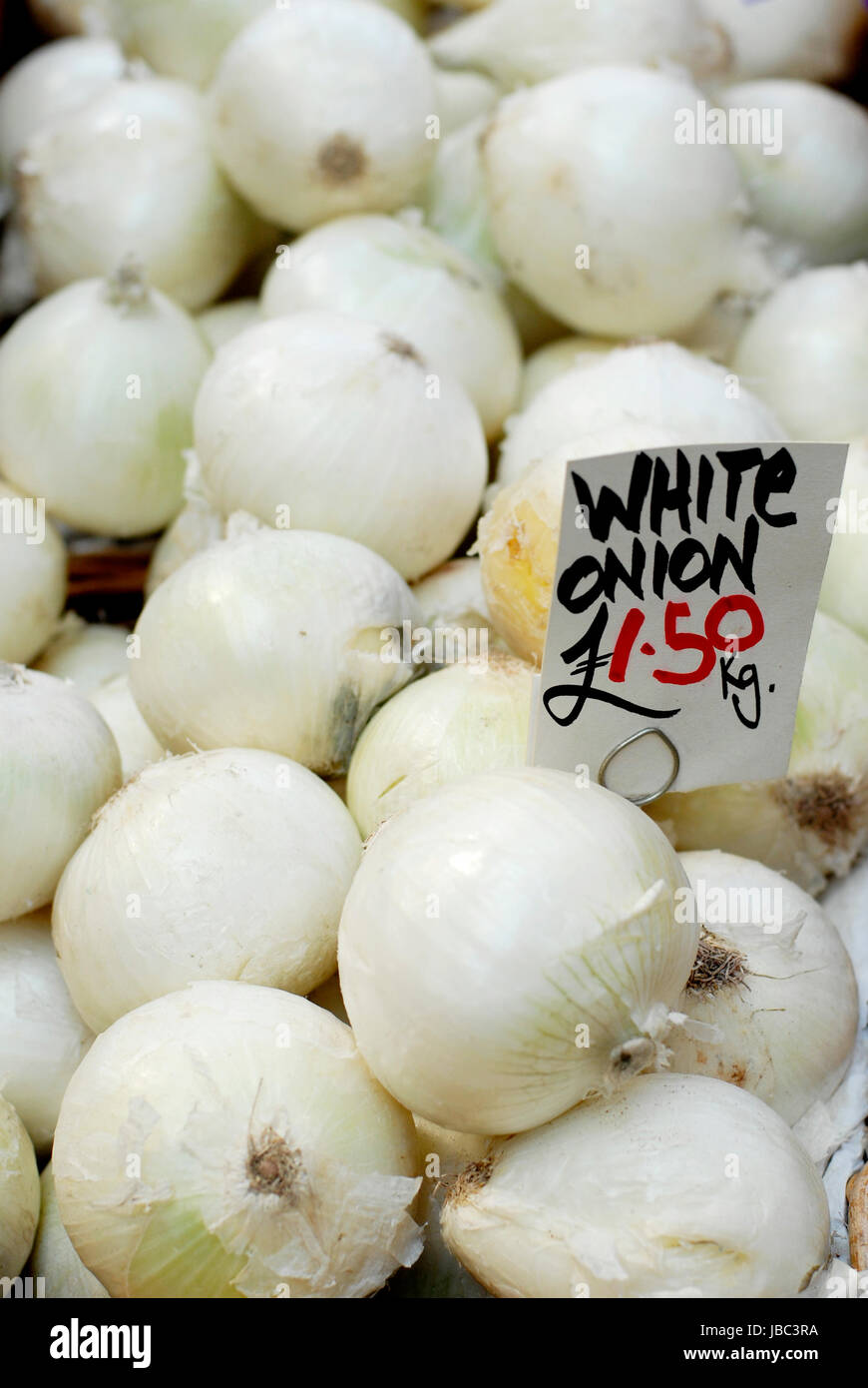 Buy Wholesale Germany Best Fresh Onion With Good Price Yellow Onions And Red  Onion For Export & Onion at USD 150