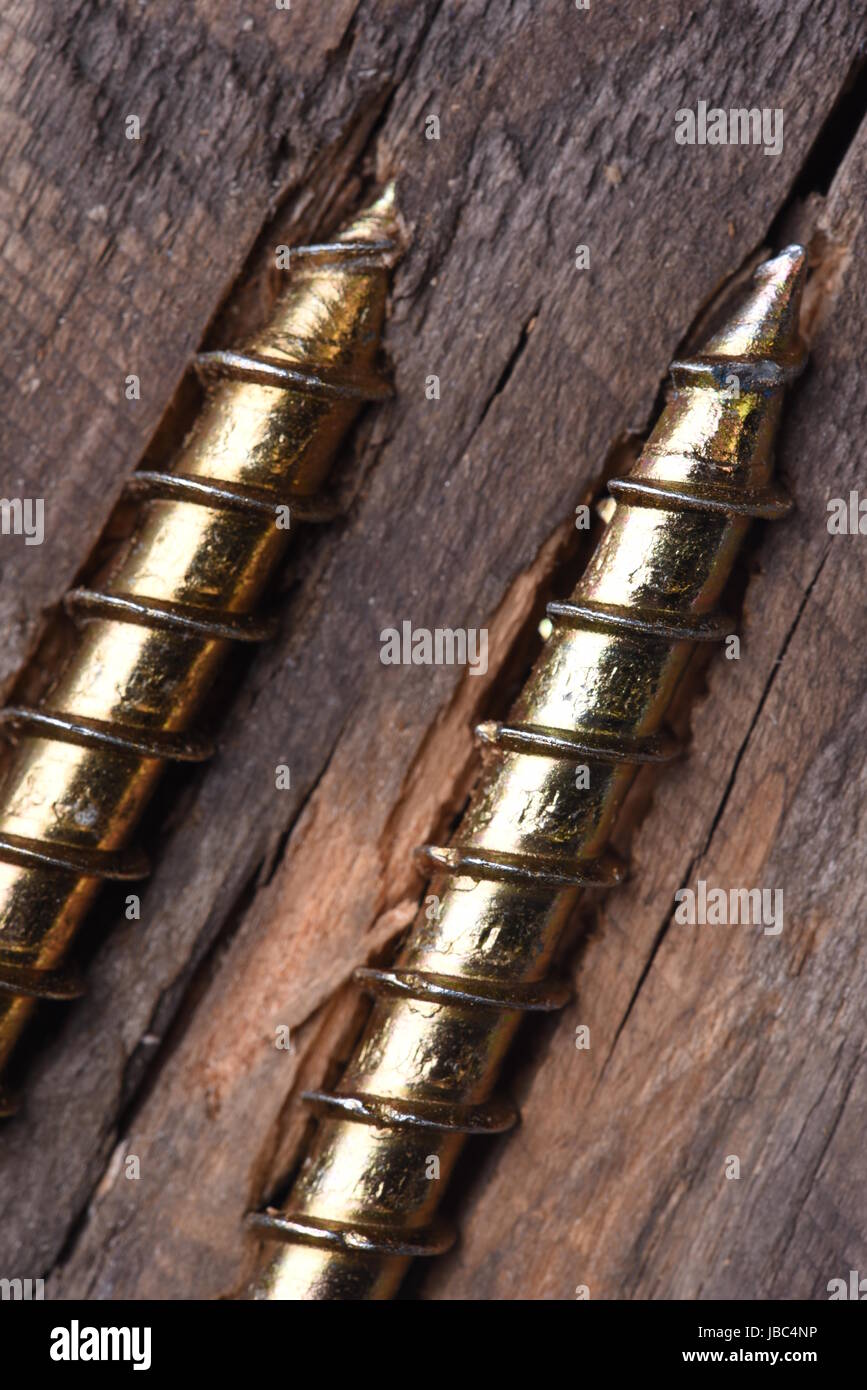 Screw and wooden plank closeup Stock Photo