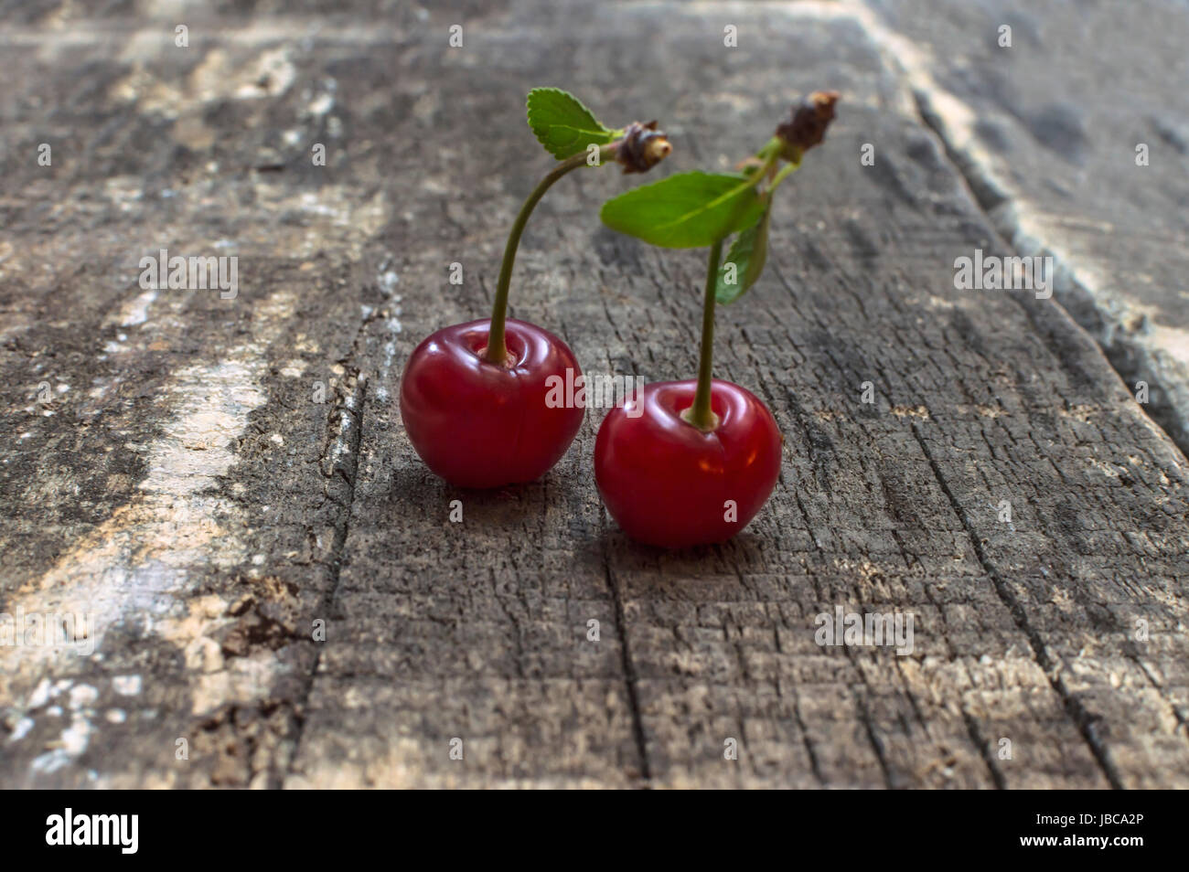 Cherry pair hi-res stock photography and images - Page 14 - Alamy