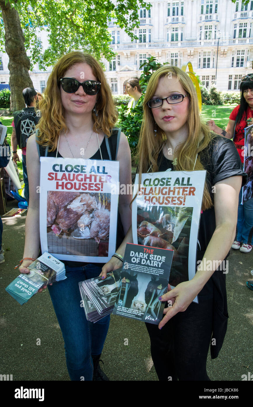 Close all slaughterhouses hires stock photography and images Alamy