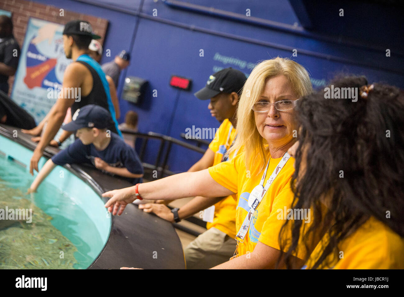 Tropicana field rays tank hi-res stock photography and images - Alamy